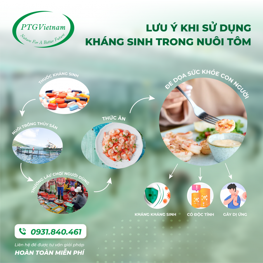 LƯU Ý KHI SỬ DỤNG KHÁNG SINH TRONG NUÔI TÔM