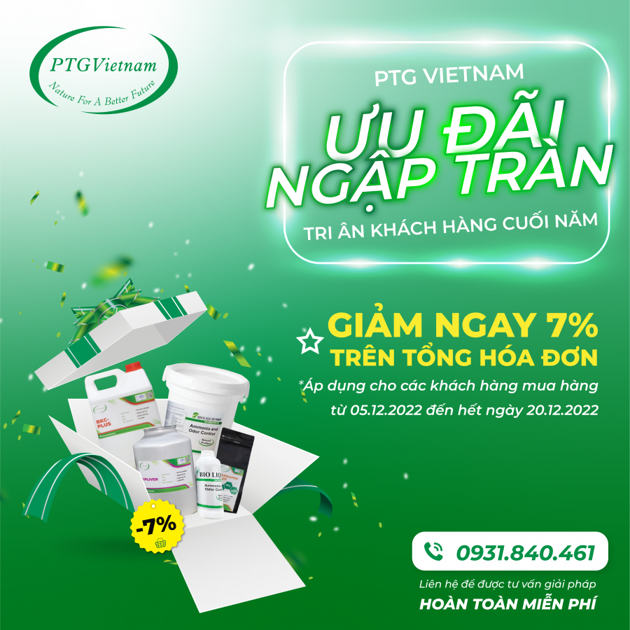 PTG VIETNAM – ƯU ĐÃI NGẬP TRÀN TRI ÂN KHÁCH HÀNG DỊP CUỐI NĂM