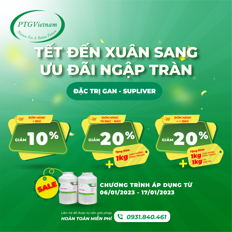 TẾT ĐẾN XUÂN SANG - PTG VIETNAM ƯU ĐÃI NGẬP TRÀN