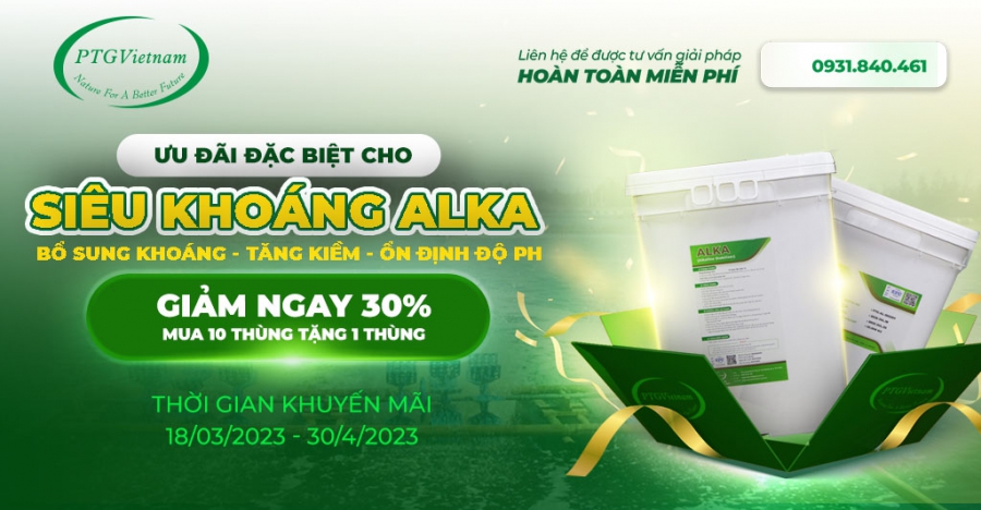 Ưu đãi đặc biệt cho Siêu khoáng ALKA - Giảm ngay 30%, Mua 10 thùng tặng 1 thùng