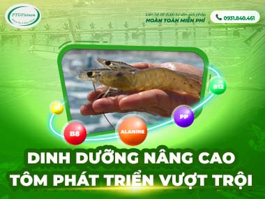 Dinh dưỡng nâng cao - Tôm phát triển vượt trội