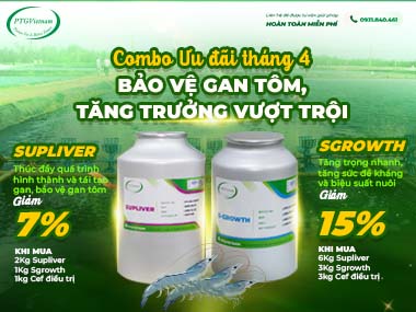 Combo Ưu đãi tháng 4: Bảo vệ gan tôm - Tăng trưởng vượt trội