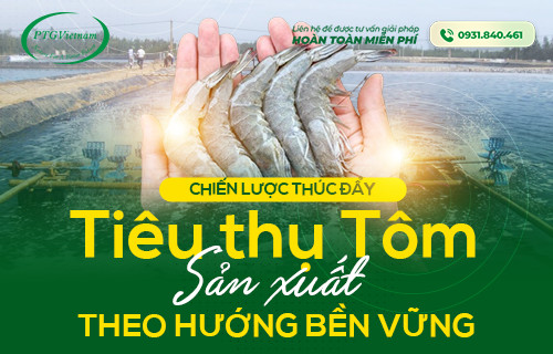 CHIẾN LƯỢC THÚC ĐẨY TIÊU THỤ TÔM SẢN XUẤT THEO HƯỚNG BỀN VỮNG