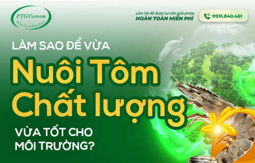 LÀM SAO ĐỂ VỪA NUÔI TÔM CHẤT LƯỢNG VỪA TỐT CHO MÔI TRƯỜNG?