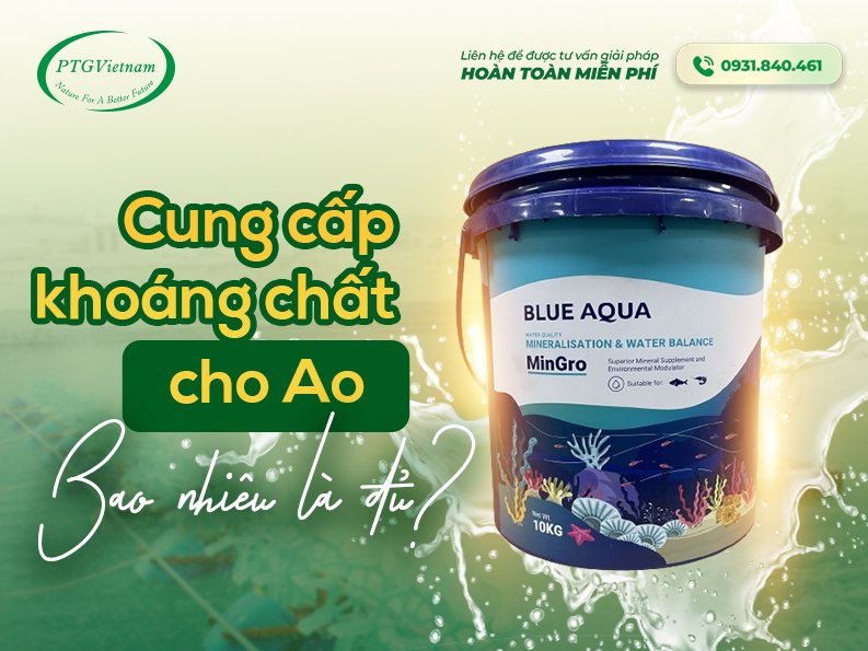 TRONG MỘT VỤ, CẦN CUNG CẤP BAO NHIÊU KHOÁNG CHẤT CHO AO NUÔI?