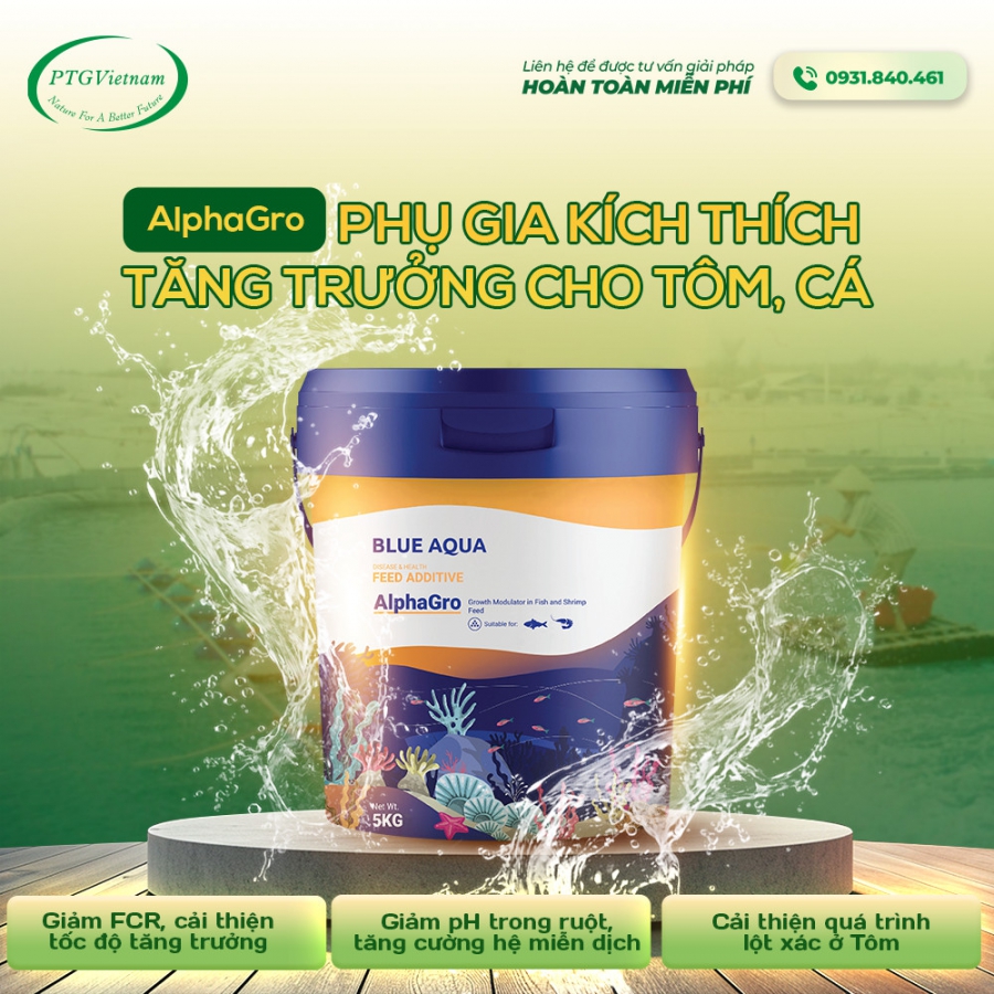 ALPHAGRO - KÍCH THÍCH TĂNG TRƯỞNG VƯỢT BẬC CHO TÔM, CÁ