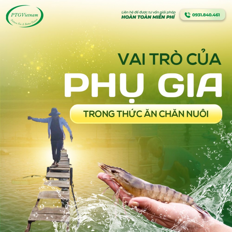 PHỤ GIA THỨC ĂN CÓ THẬT SỰ QUAN TRỌNG?