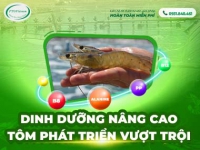 Dinh dưỡng nâng cao - Tôm phát triển vượt trội