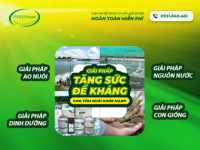 4 giải pháp tăng sức đề kháng cho tôm nuôi khỏe mạnh