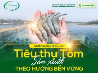 CHIẾN LƯỢC THÚC ĐẨY TIÊU THỤ TÔM SẢN XUẤT THEO HƯỚNG BỀN VỮNG