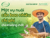 MỘT VỤ NUÔI TÔM CẦN CHI BAO NHIÊU TIỀN CHO KHOÁNG CHẤT?