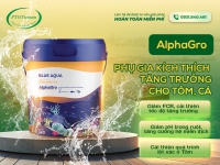 ALPHAGRO - KÍCH THÍCH TĂNG TRƯỞNG VƯỢT BẬC CHO TÔM, CÁ