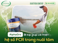 ALPHAGRO - BÍ KÍP GIÚP CẢI THIỆN HỆ SỐ FCR TRONG NUÔI TÔM, CÁ