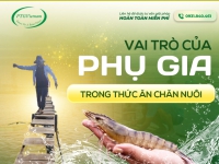 PHỤ GIA THỨC ĂN CÓ THẬT SỰ QUAN TRỌNG?