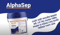 CÙNG ALPHASEP DỌN SẠCH VI KHUẨN TRONG AO NUÔI TÔM