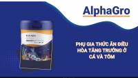 PHỤ GIA THỨC ĂN - BÍ KÍP GIÚP TÔM NUÔI TĂNG TRƯỞNG VƯỢT BẬC